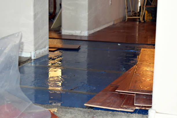 Professional Sewage Cleanup technician working in Savoy, TX